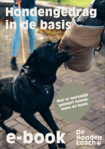 E-book hondengedrag in de basis met hondentraining