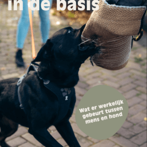 E-book hondengedrag in de basis met hondentraining