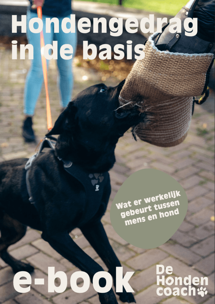 E-book hondengedrag in de basis met hondentraining