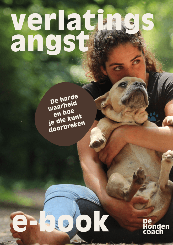 E-book verlatingsangst bij honden training - De Hondencoach verlatingsangst hond oplossen e-book