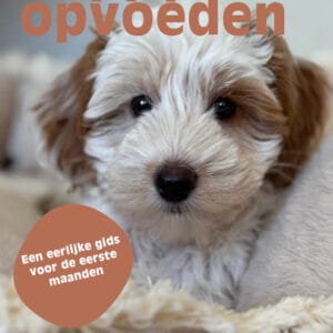 puppy opvoeden